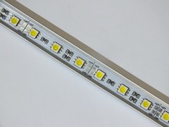 DSCF5529